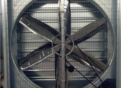 點(diǎn)擊查看詳細(xì)信息<br>標(biāo)題：Heavy Hammer Type Animal Husbandry Fan 閱讀次數(shù)：1579