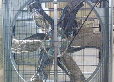 點(diǎn)擊查看詳細(xì)信息<br>標(biāo)題：Push Pull Negative Pressure Fan 閱讀次數(shù)：1387